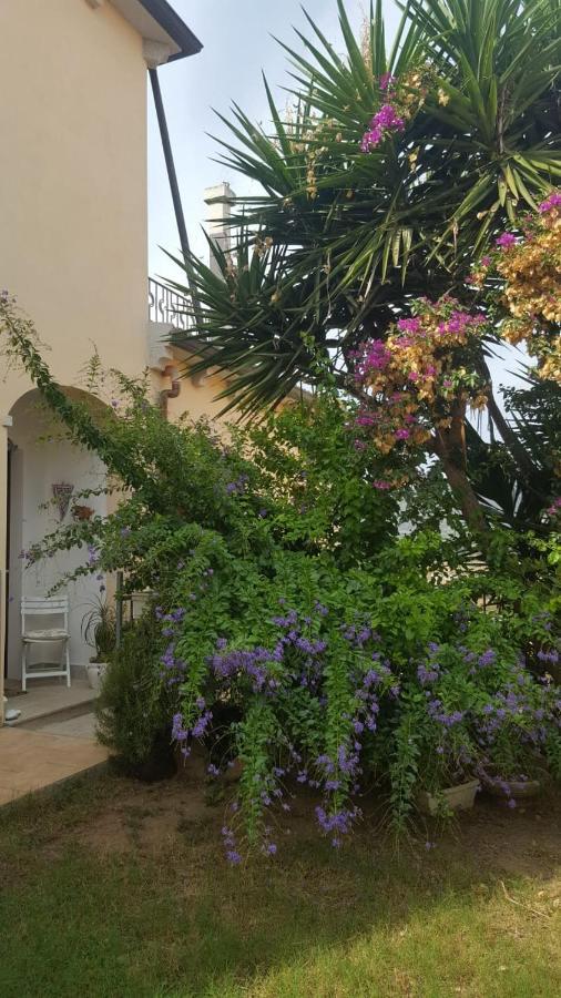 B&B Villa Orchidea Olbia Esterno foto