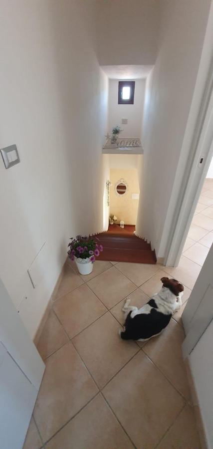 B&B Villa Orchidea Olbia Esterno foto