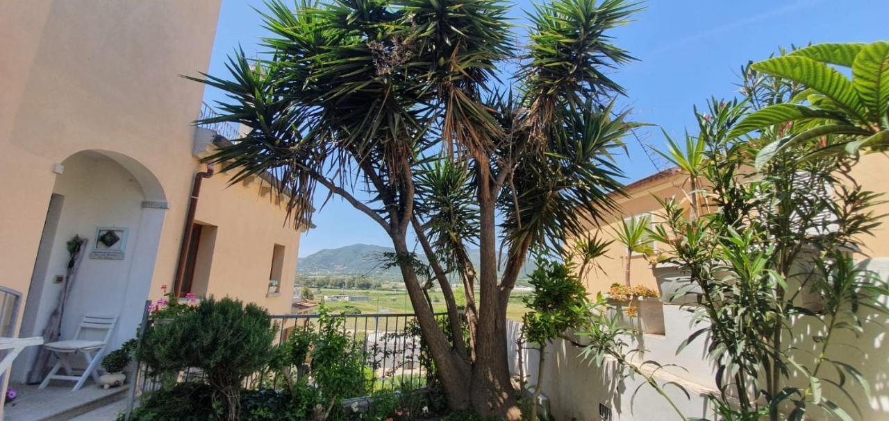 B&B Villa Orchidea Olbia Esterno foto